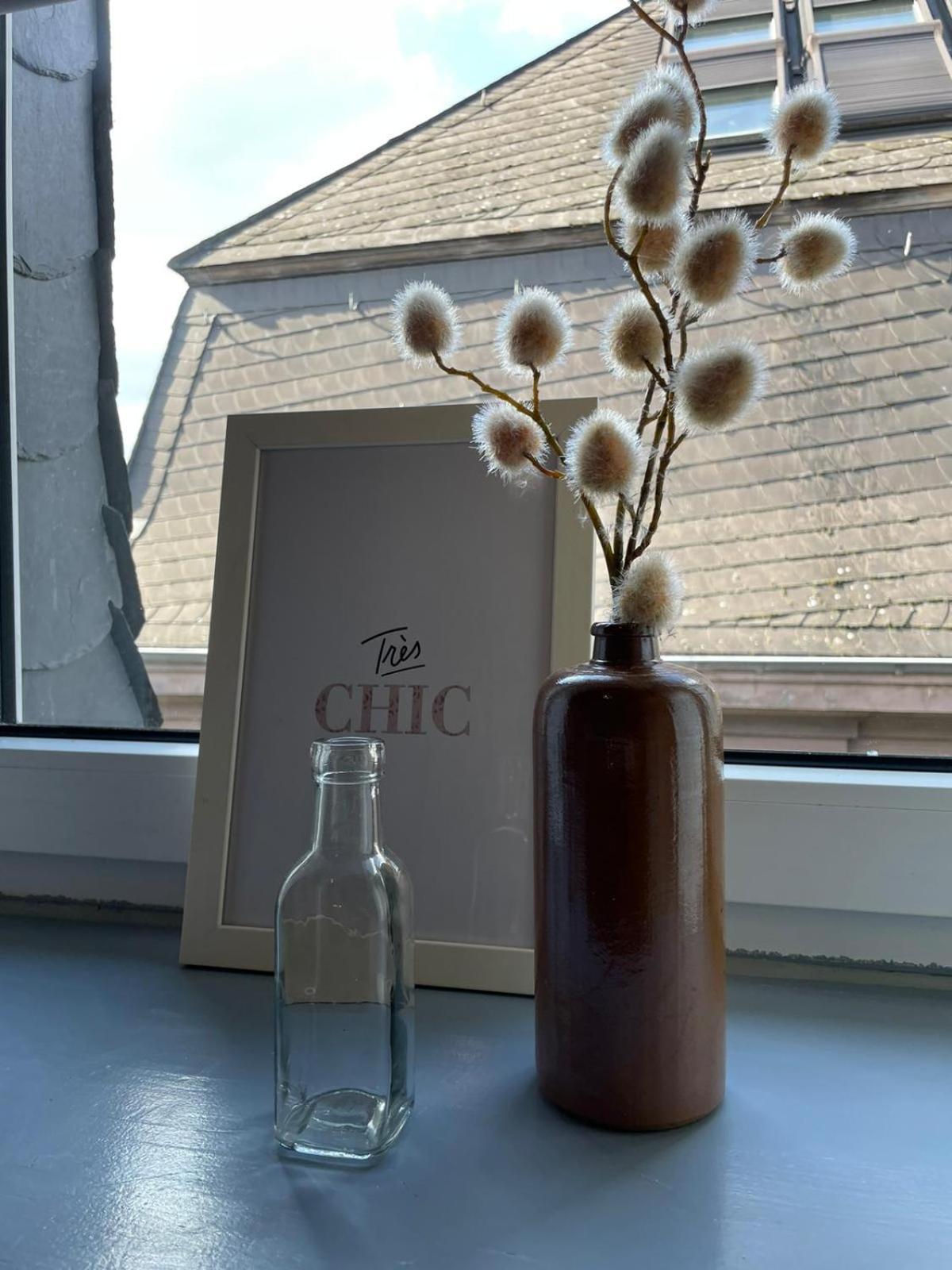 Apartment Kleiner Muenz Koblenz  Eksteriør billede